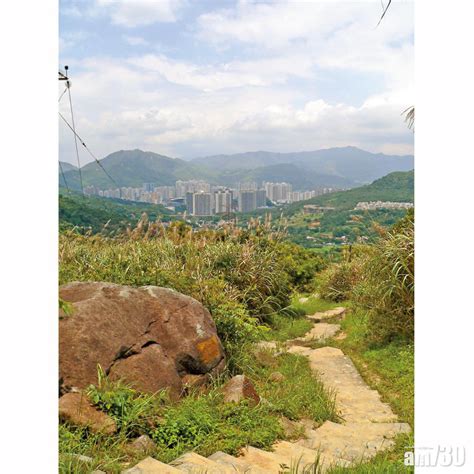 城門水塘|荃灣｜ 城門水塘輕鬆行山路線 (白千層｜日落打卡｜圖 